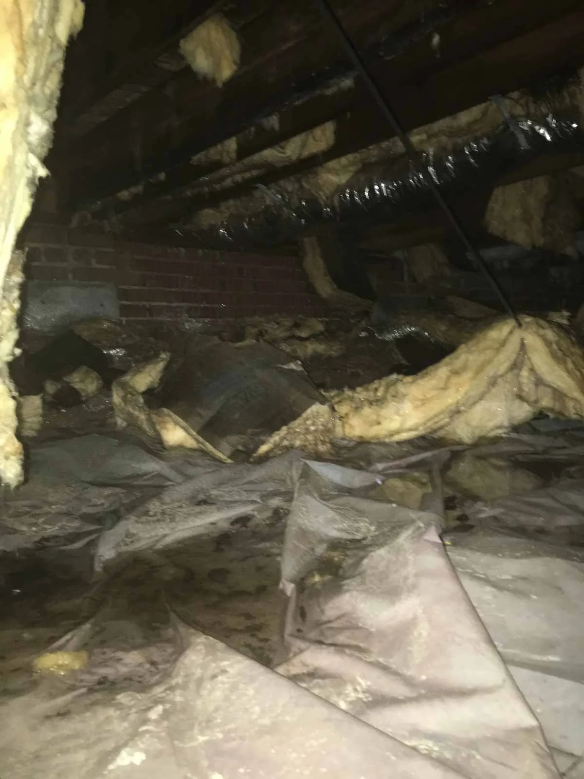 Crawlspace before restoration
